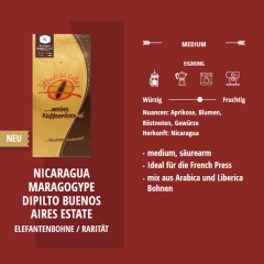 Nicaragua Maragogype "Dipilto" Fully washed